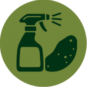 Mould Cleaning